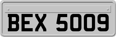 BEX5009