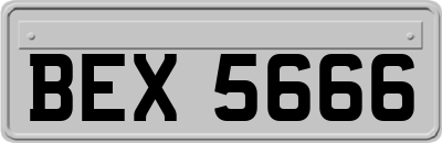 BEX5666