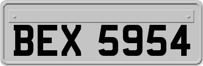 BEX5954