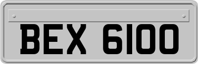 BEX6100