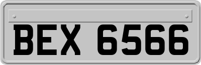 BEX6566