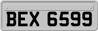 BEX6599