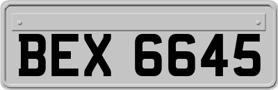 BEX6645