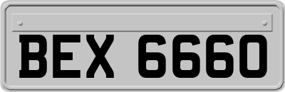 BEX6660