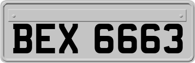 BEX6663