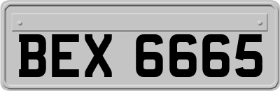 BEX6665