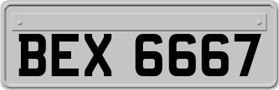 BEX6667