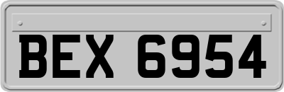 BEX6954