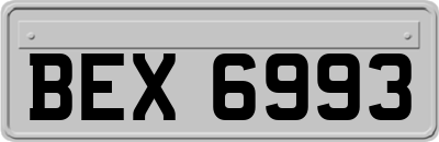 BEX6993