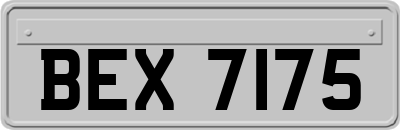 BEX7175