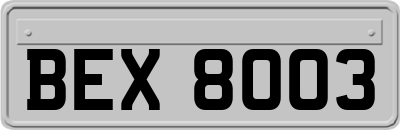 BEX8003