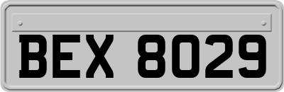 BEX8029