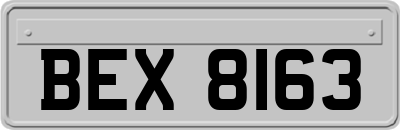 BEX8163