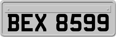 BEX8599