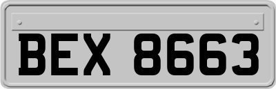 BEX8663