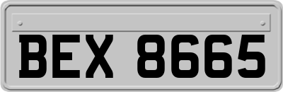 BEX8665