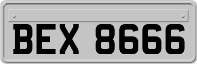 BEX8666