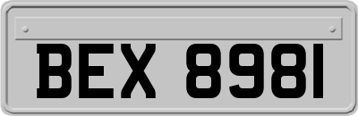 BEX8981