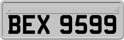 BEX9599