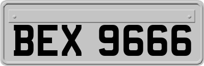 BEX9666