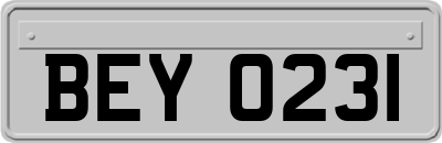 BEY0231