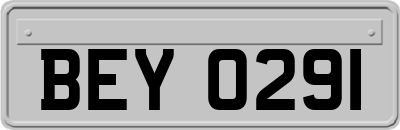 BEY0291