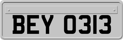 BEY0313