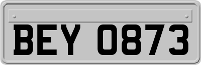 BEY0873