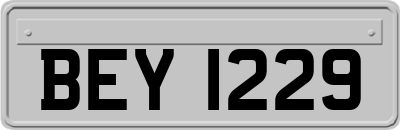 BEY1229