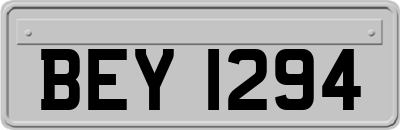 BEY1294