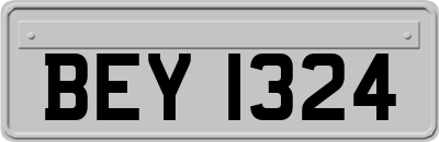 BEY1324