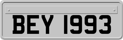 BEY1993