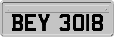 BEY3018