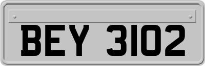 BEY3102