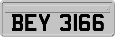 BEY3166