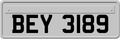 BEY3189