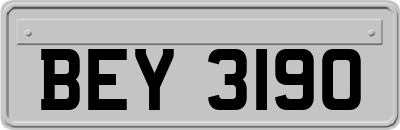 BEY3190