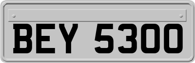 BEY5300