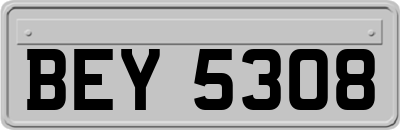 BEY5308