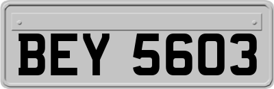 BEY5603