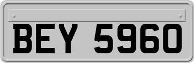 BEY5960