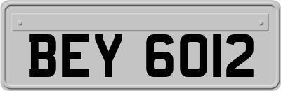 BEY6012