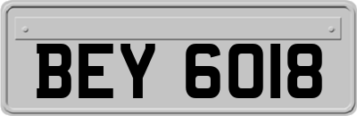 BEY6018