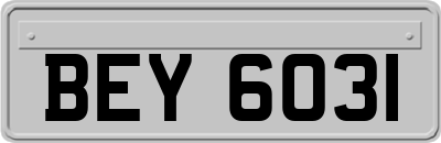 BEY6031