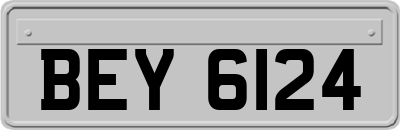 BEY6124