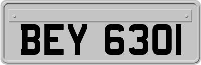 BEY6301