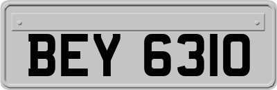 BEY6310