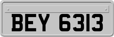 BEY6313