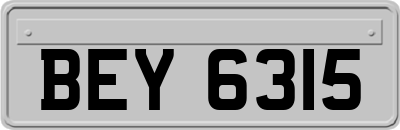 BEY6315