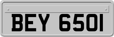 BEY6501